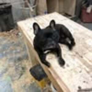 Meet your Posher, Josh